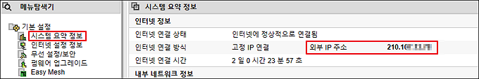 시스템 요약 정보의 외부 IP 주소