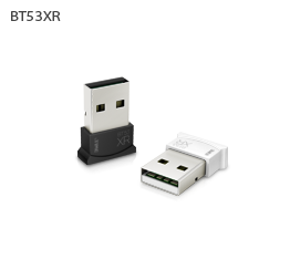 BT53XR